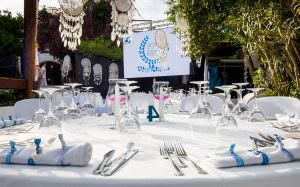 Bild3_Ibiza