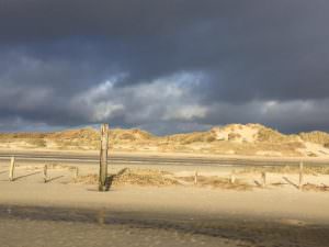 Teamgeist_Bild2