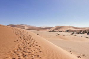 Namib